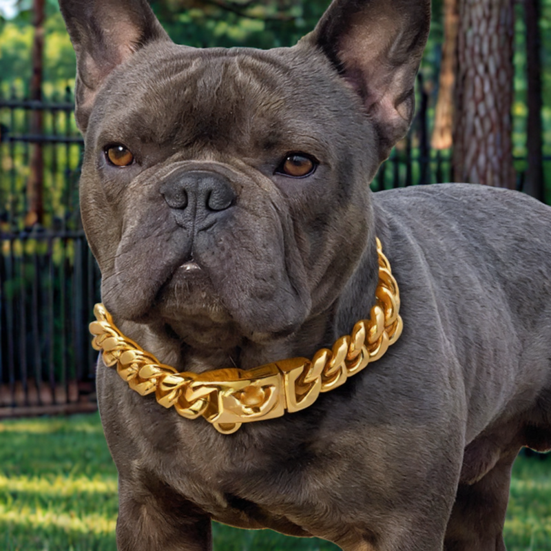 Corrente para Cães AlphaPower
