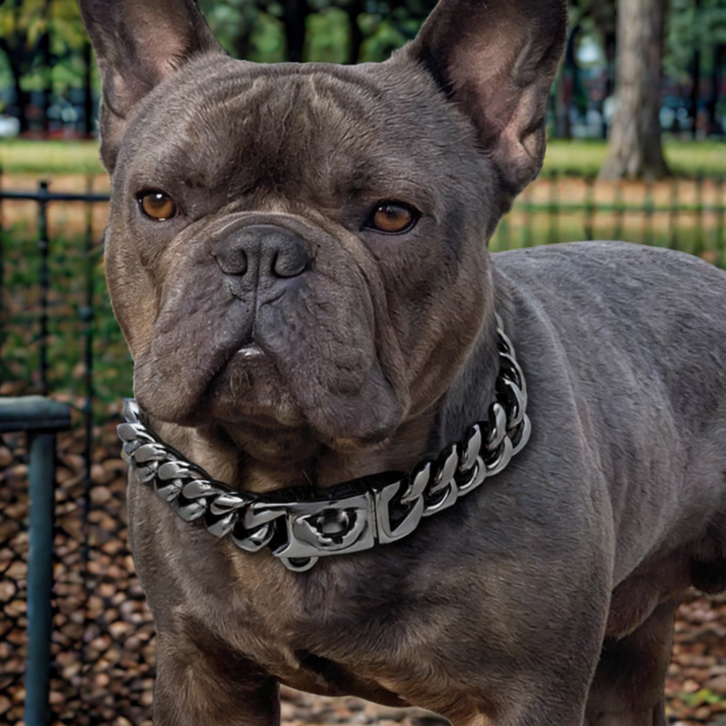 Corrente para Cães AlphaPower