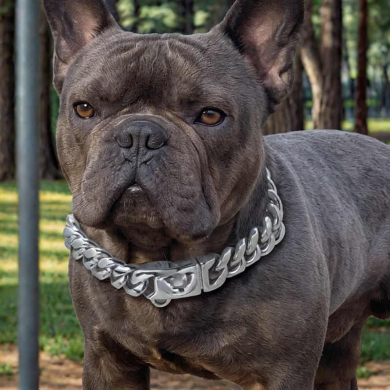 Corrente para Cães AlphaPower