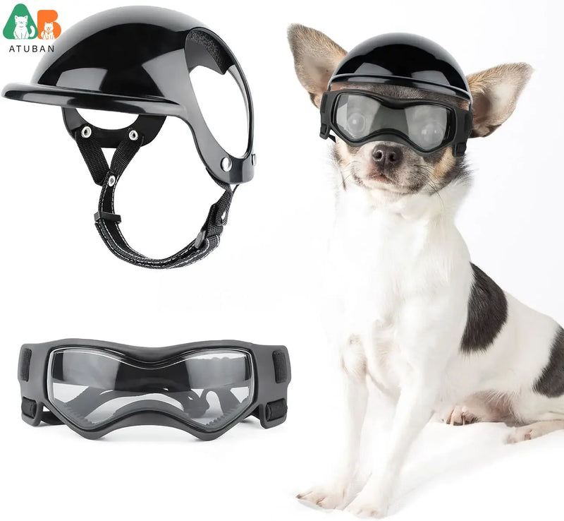 Dog Rider - Capacete para cães