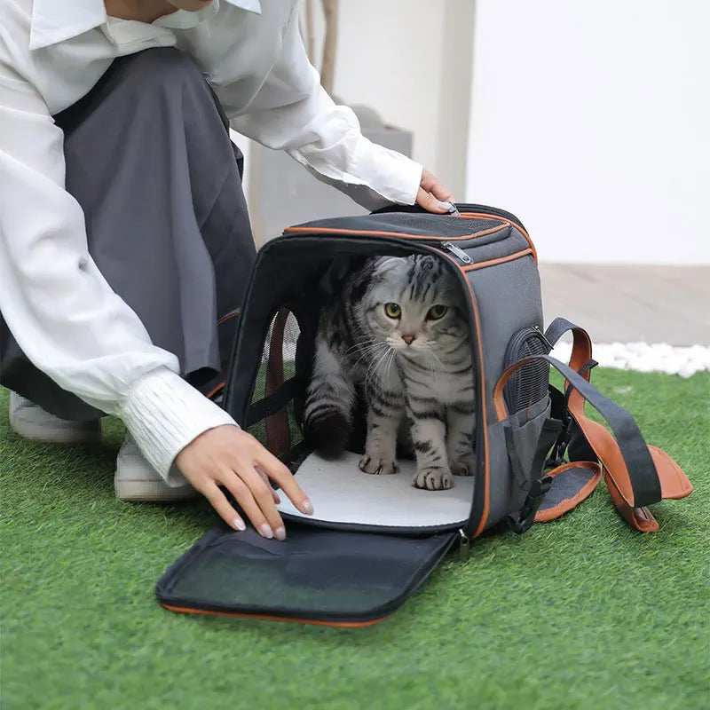 PetVoyage - Bolsa de Transporte para cães e gatos